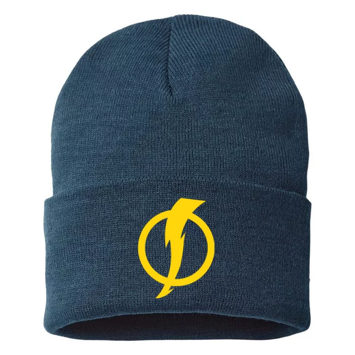 Static Shock Logo Sustainable Knit Beanie