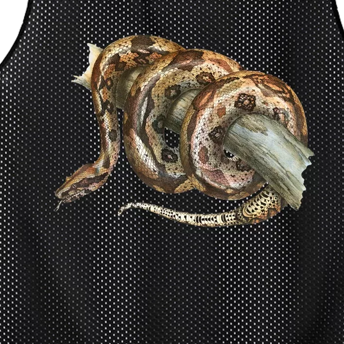 Snake Snake Lover  Men Snake Mesh Reversible Basketball Jersey Tank