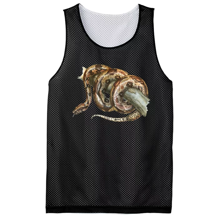 Snake Snake Lover  Men Snake Mesh Reversible Basketball Jersey Tank