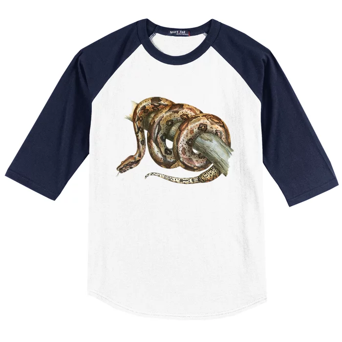 Snake Snake Lover  Men Snake Baseball Sleeve Shirt