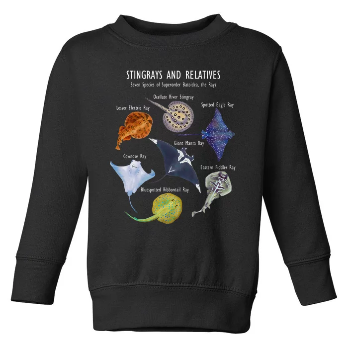 Stingray Species Manta Ray River Stingray And More Toddler Sweatshirt