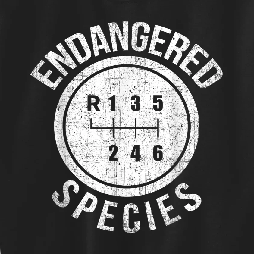 Stick Shift Manual Endangered Species Funny Car Racing Kids Sweatshirt