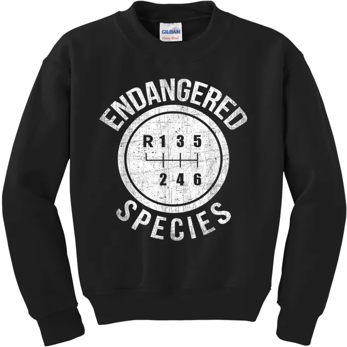 Stick Shift Manual Endangered Species Funny Car Racing Kids Sweatshirt