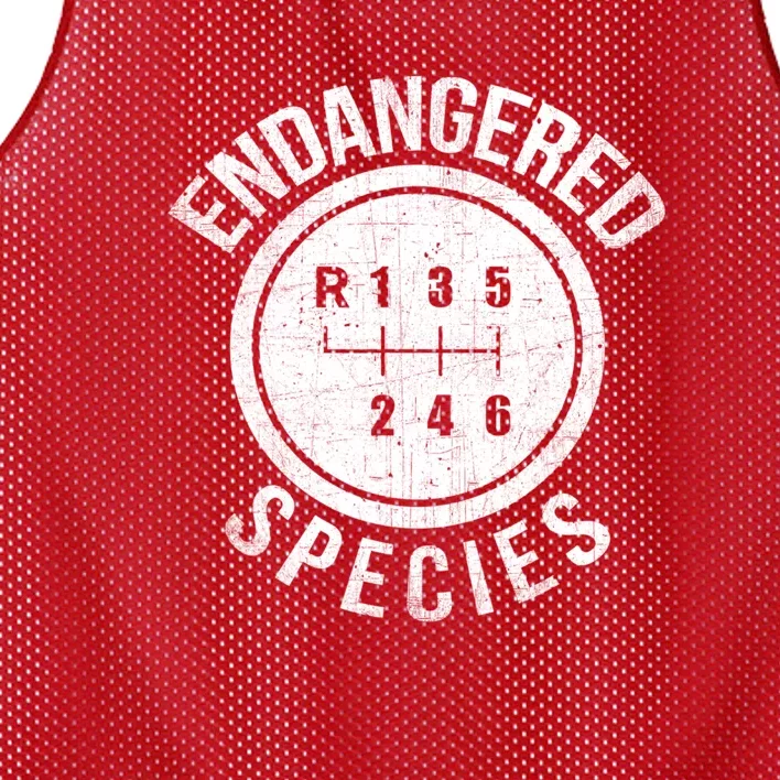 Stick Shift Manual Endangered Species Funny Car Racing Mesh Reversible Basketball Jersey Tank