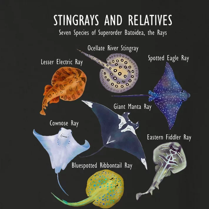 Stingray Species Manta Ray River Stingray And More Toddler Long Sleeve Shirt