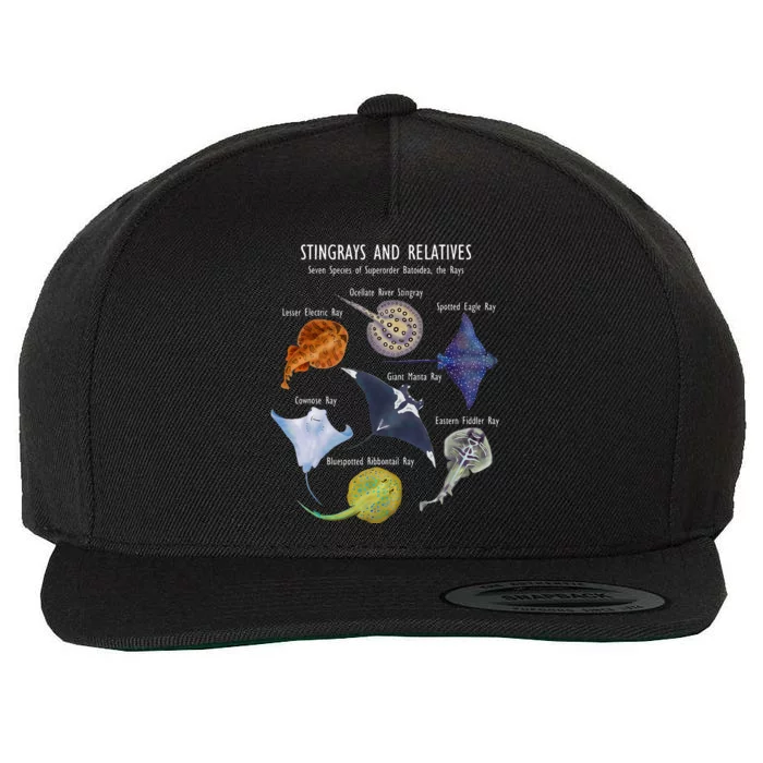 Stingray Species Manta Ray River Stingray And More Wool Snapback Cap