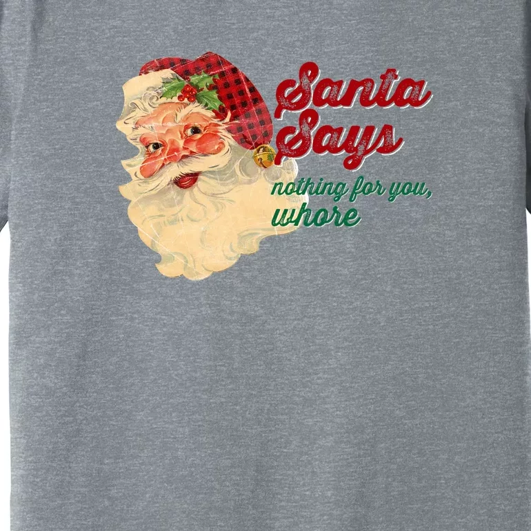 Santa Says Nothing For You Whore Premium T-Shirt