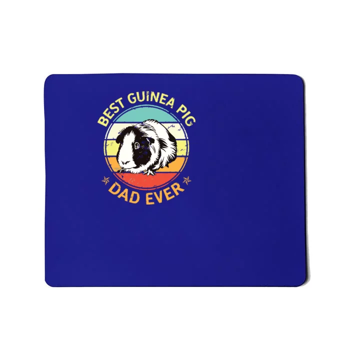 Security Security Officer Project Safety Ager Funny Gift Mousepad