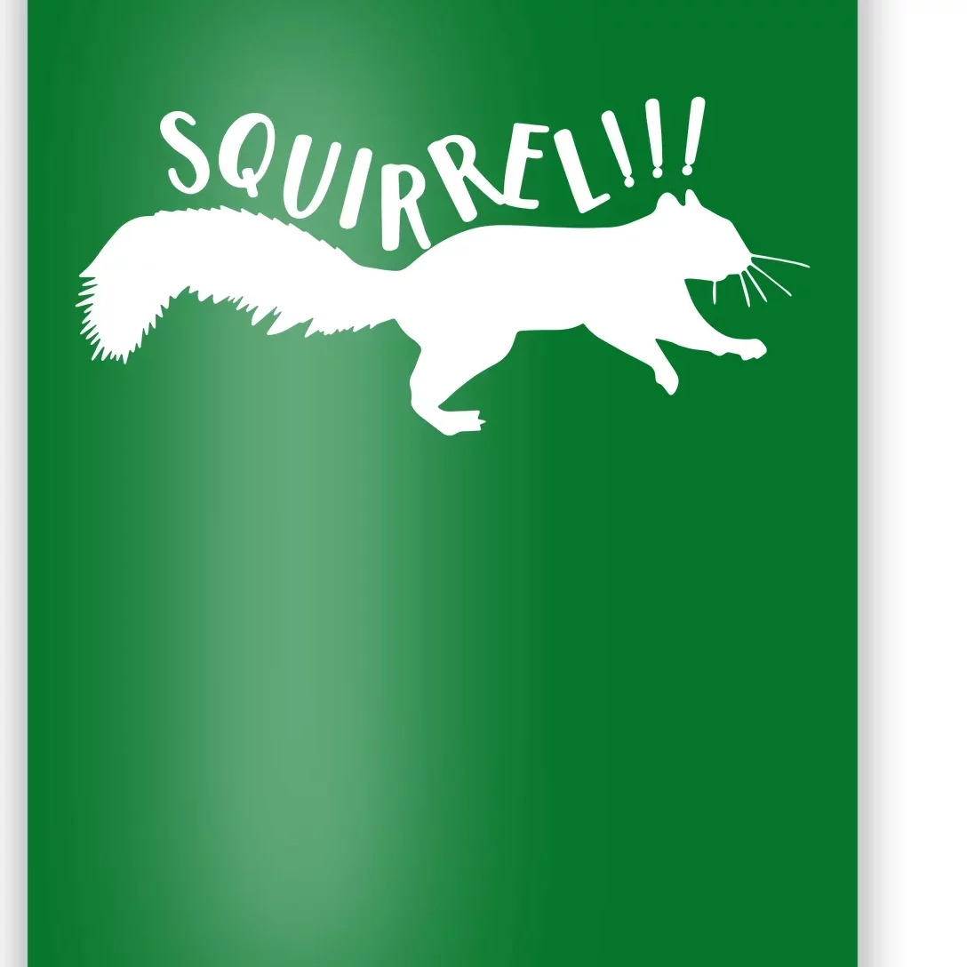 Squirrel Poster