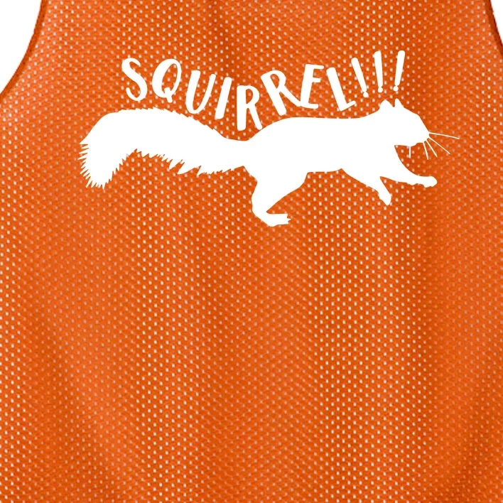 Squirrel Mesh Reversible Basketball Jersey Tank