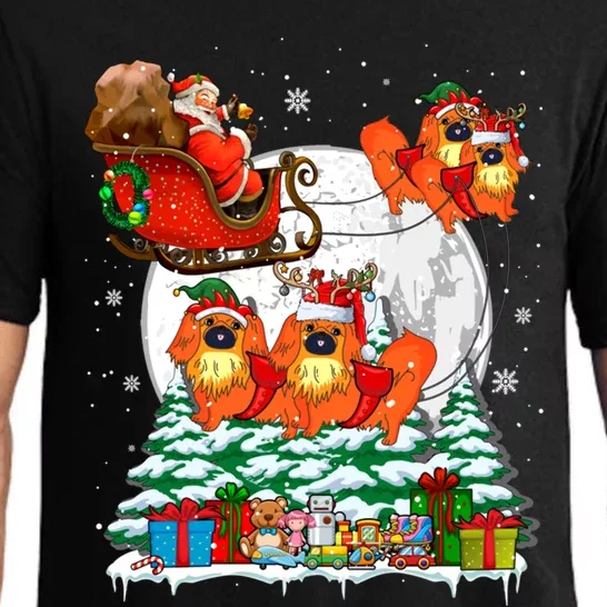 Santa Sleigh Reindeer Pekingeses Xmas Dogs Owner Lover Gift Pajama Set