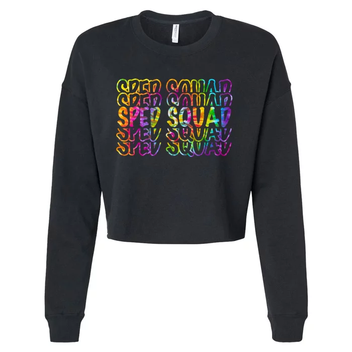 Sped Squad Rainbow Colorful Cropped Pullover Crew