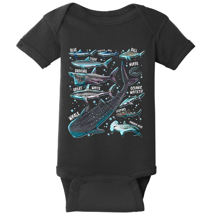 Shark Species Shark Gifts Shark Faces Tee Marine Biology Baby Bodysuit