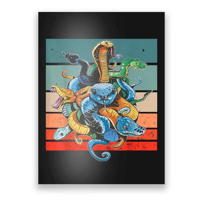 Snake Species Poster