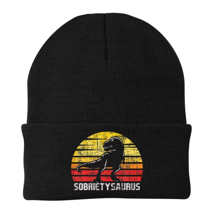 Sobrietysaurus Sober Sobriety Anniversary Recovery Aa Na Knit Cap Winter Beanie