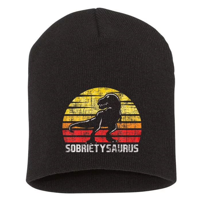 Sobrietysaurus Sober Sobriety Anniversary Recovery Aa Na Short Acrylic Beanie