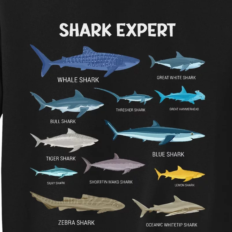 Shark Species Shark Sweatshirt