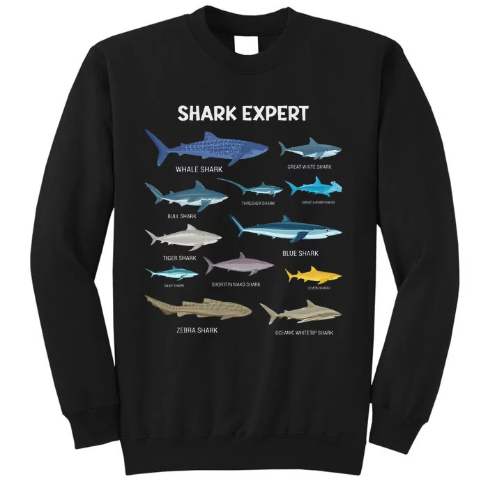 Shark Species Shark Sweatshirt