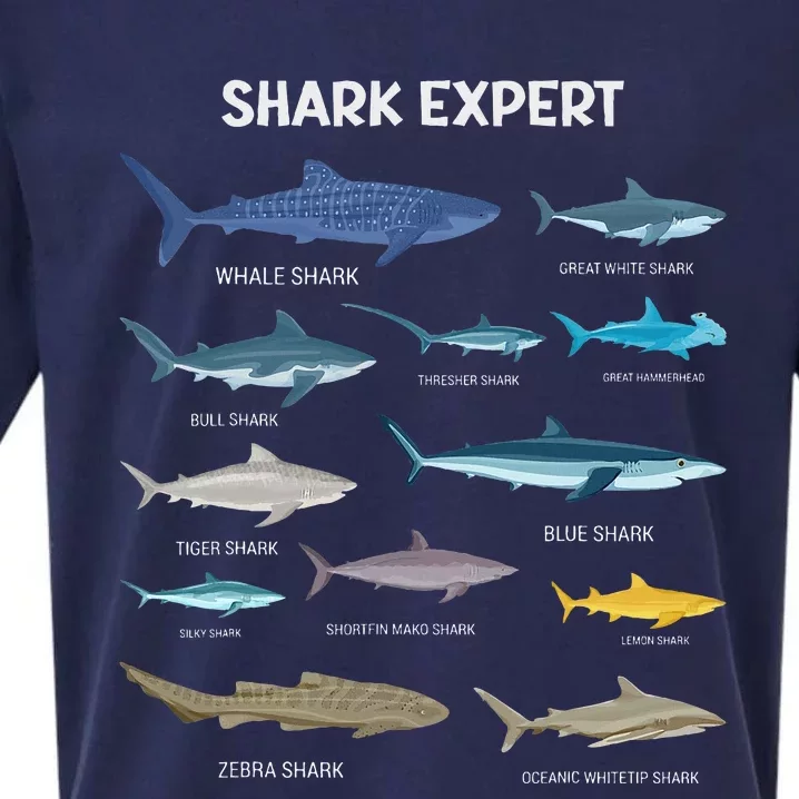 Shark Species Shark Sueded Cloud Jersey T-Shirt