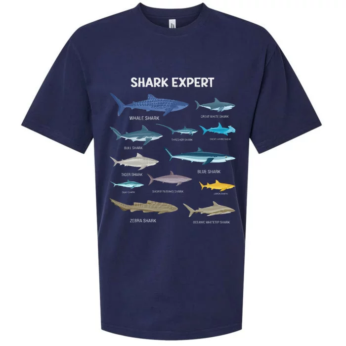 Shark Species Shark Sueded Cloud Jersey T-Shirt