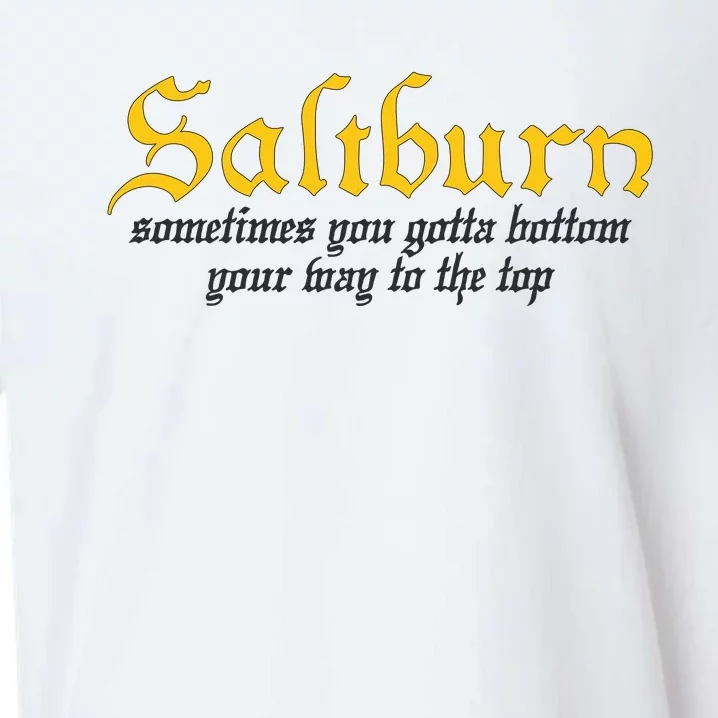 Saltburn Sometimes You Gotta Bottom Your Way To The Top Sueded Cloud Jersey T-Shirt