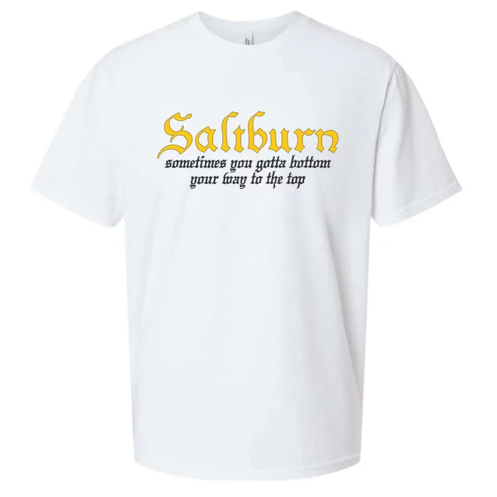 Saltburn Sometimes You Gotta Bottom Your Way To The Top Sueded Cloud Jersey T-Shirt