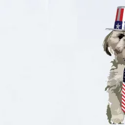 Shih Tzu 4th Of July Dog In Top Hat And Tie Softstyle Adult Sport Polo