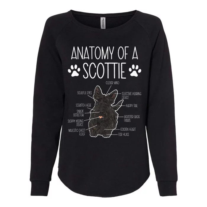 Scottish Terrier Anatomy Of A Scottie Dog Womens California Wash Sweatshirt