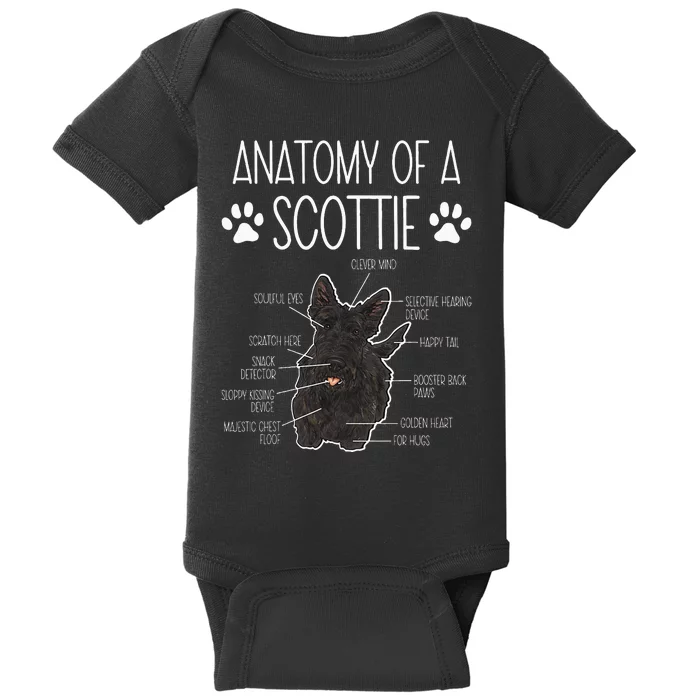 Scottish Terrier Anatomy Of A Scottie Dog Baby Bodysuit