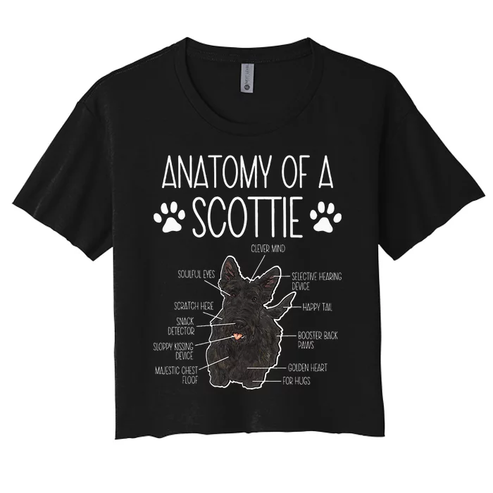 Scottish Terrier Anatomy Of A Scottie Dog Women's Crop Top Tee