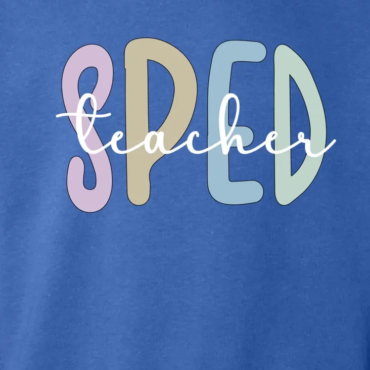 Sped Teacher Appreciation Special Education Teacher Gift Toddler Hoodie