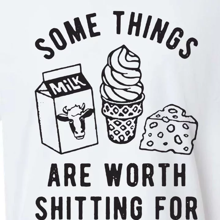 Some Things Are Worth Shitting For Sueded Cloud Jersey T-Shirt