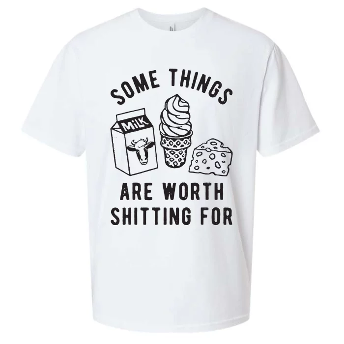 Some Things Are Worth Shitting For Sueded Cloud Jersey T-Shirt