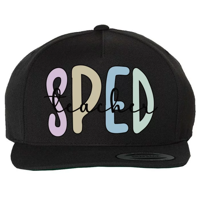 Sped Teacher Appreciation Special Education Teacher Gift Wool Snapback Cap