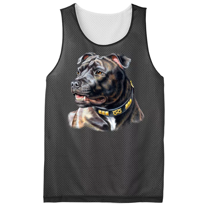 Stafford Bull Terrier Mesh Reversible Basketball Jersey Tank