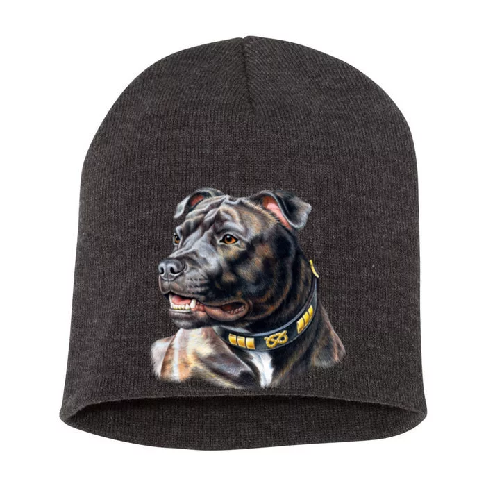 Stafford Bull Terrier Short Acrylic Beanie