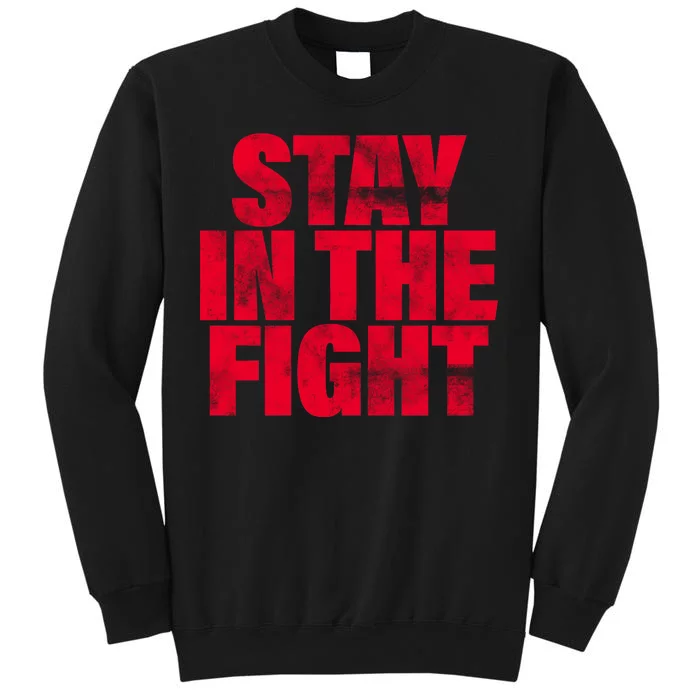 Stay In The Fight Washington D.C. Baseball Fan Tall Sweatshirt