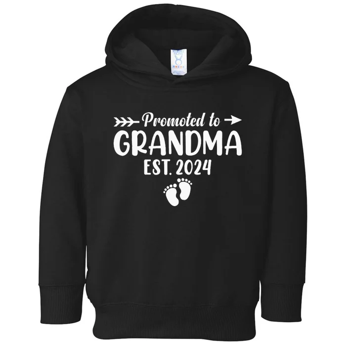 Soon To Be Grandma 2024 Promoted To Grandma Toddler Hoodie