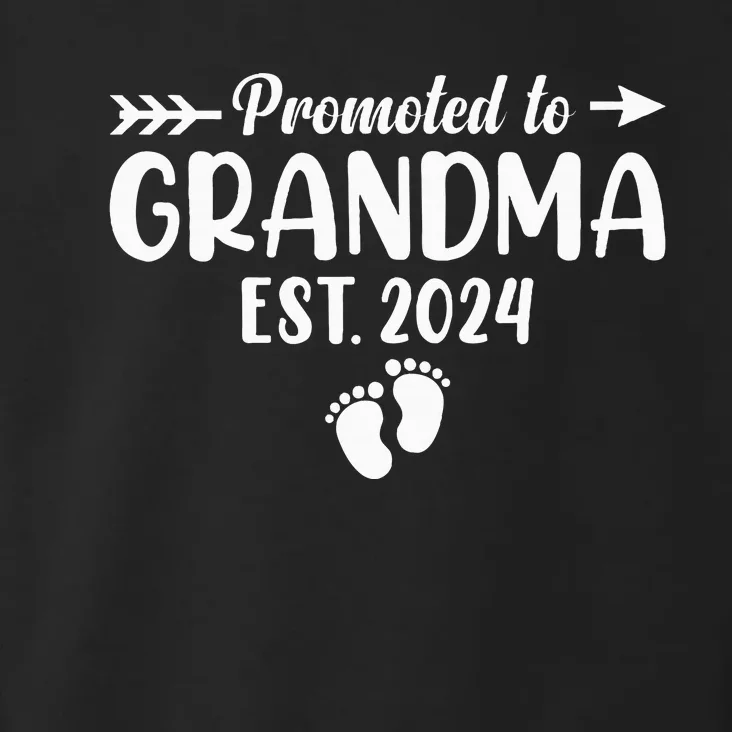 Soon To Be Grandma 2024 Gift Promoted To Grandma Est 2024 Toddler Hoodie