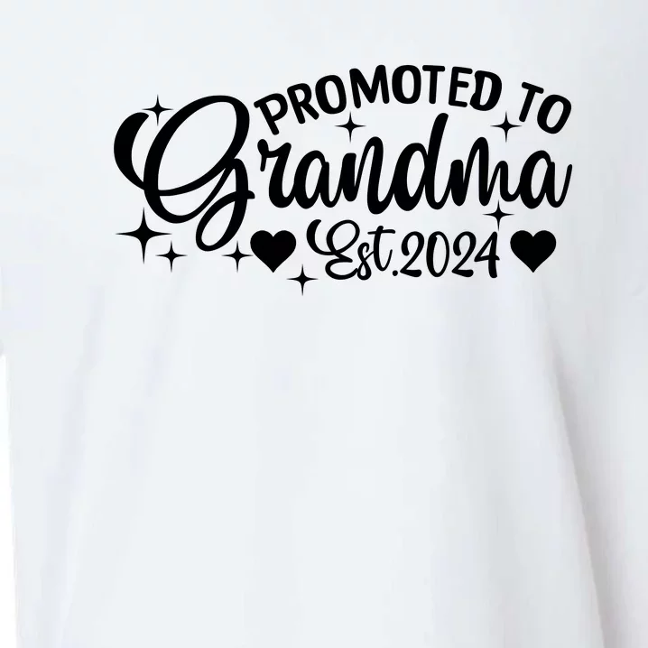 Soon To Be Grandma 2024 Gift Promoted To Grandma Est 2024 Sueded Cloud Jersey T-Shirt