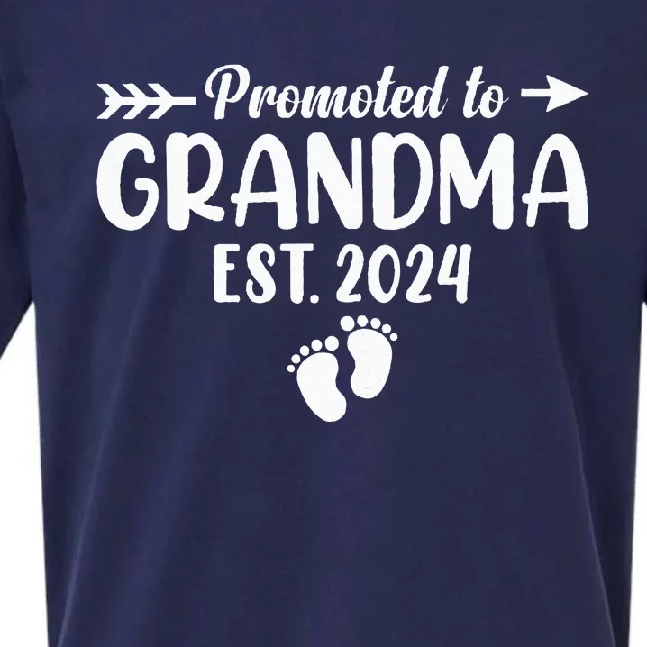 Soon To Be Grandma 2024 Gift Promoted To Grandma Est 2024 Sueded Cloud Jersey T-Shirt