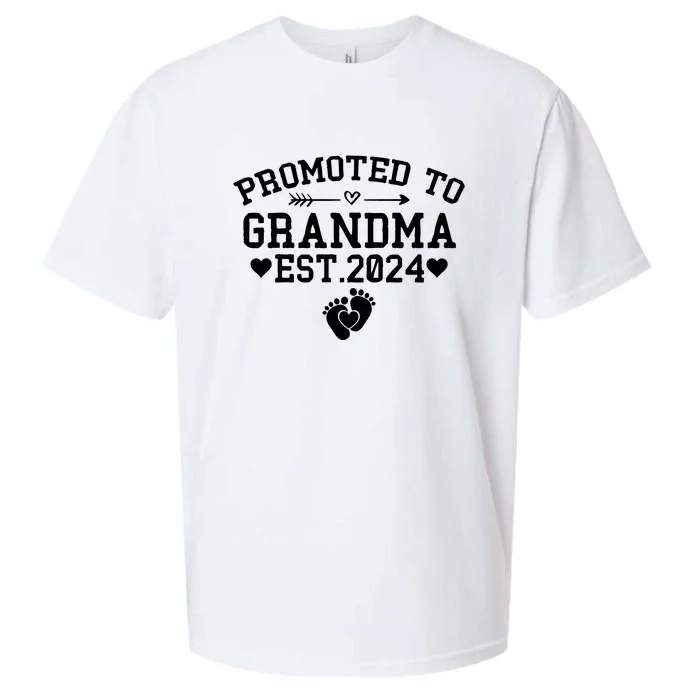 Soon To Be Grandma 2024 Gift Promoted To Grandma Est 2024 Sueded Cloud Jersey T-Shirt