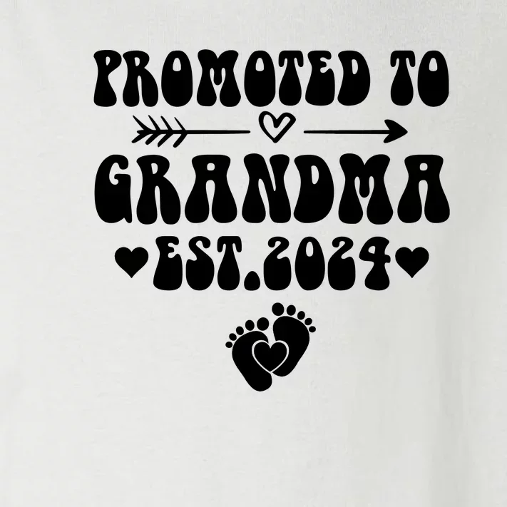 Soon To Be Grandma 2024 Gift Promoted To Grandma Est 2024 Toddler Long Sleeve Shirt