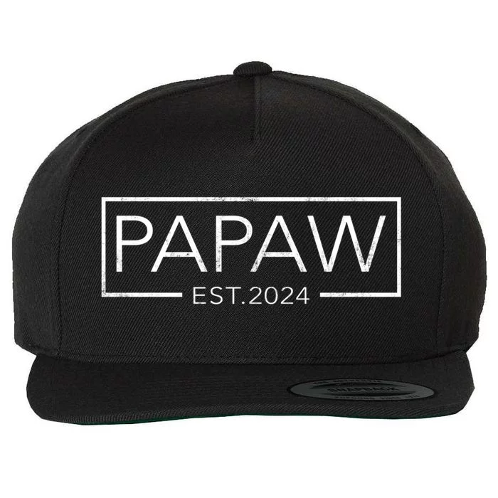 Soon To Be Papaw 2024 Retro Fathers Day Papaw Est 2024 Cool Gift Wool Snapback Cap