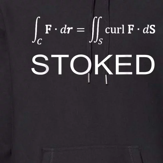 Stokes Theorem Calculus Math Teacher Engineer Premium Hoodie