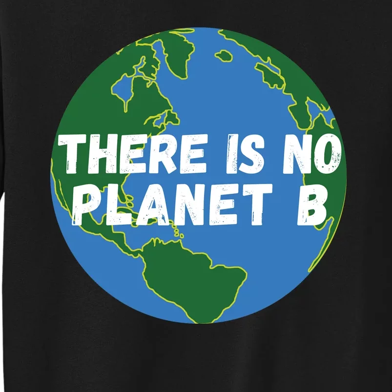 Save The Earth, There Is No Planet B Earth Day Environmental Sweatshirt