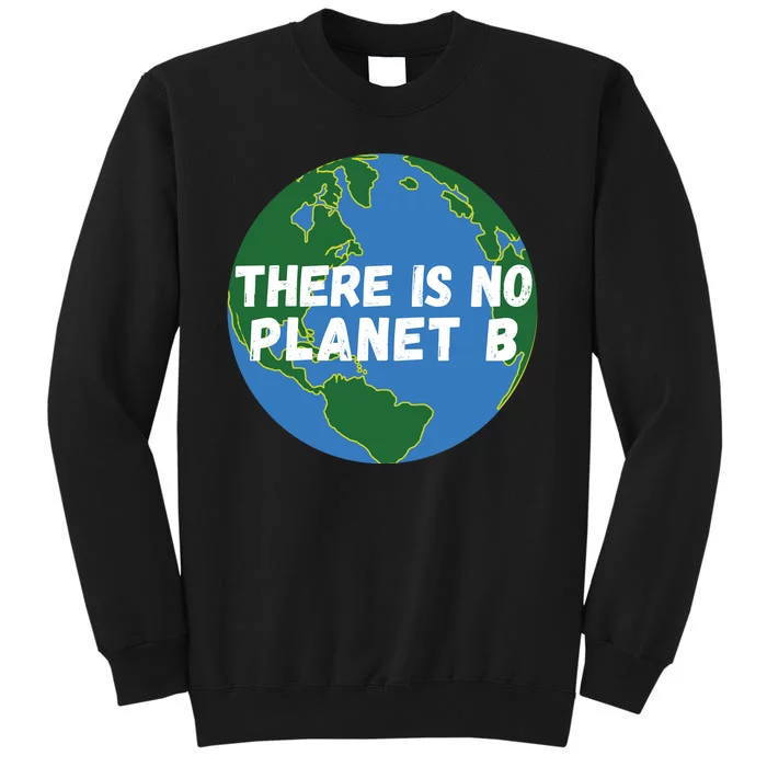 Save The Earth, There Is No Planet B Earth Day Environmental Sweatshirt