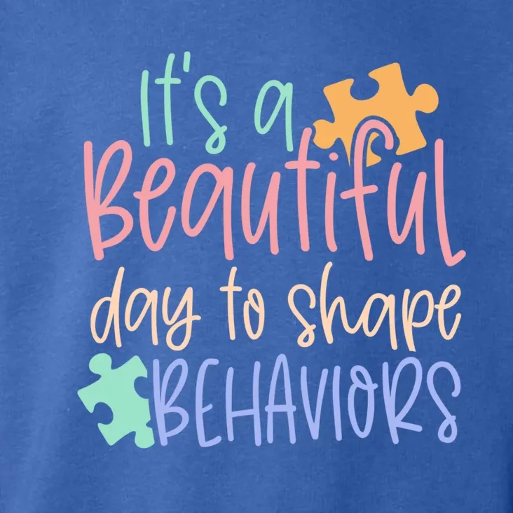 Sped Teacher Gift It's A Beautiful Day To Shape Behavior Gift Toddler Hoodie