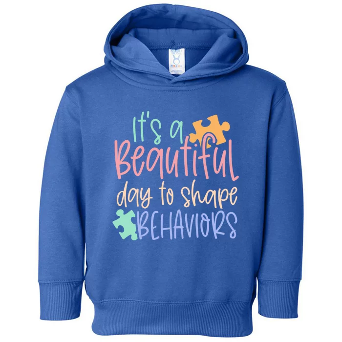 Sped Teacher Gift It's A Beautiful Day To Shape Behavior Gift Toddler Hoodie