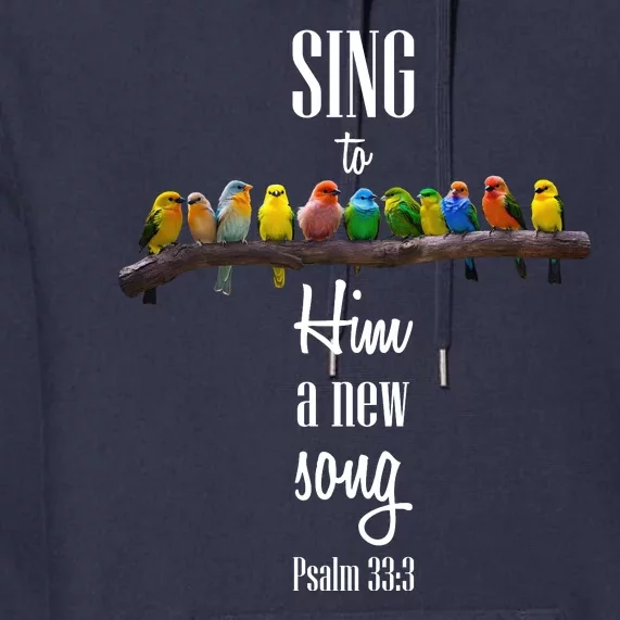 Sing To Him A New Song Psalms 33 3 Premium Hoodie